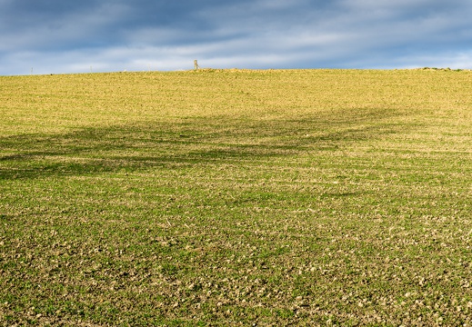 Bayern